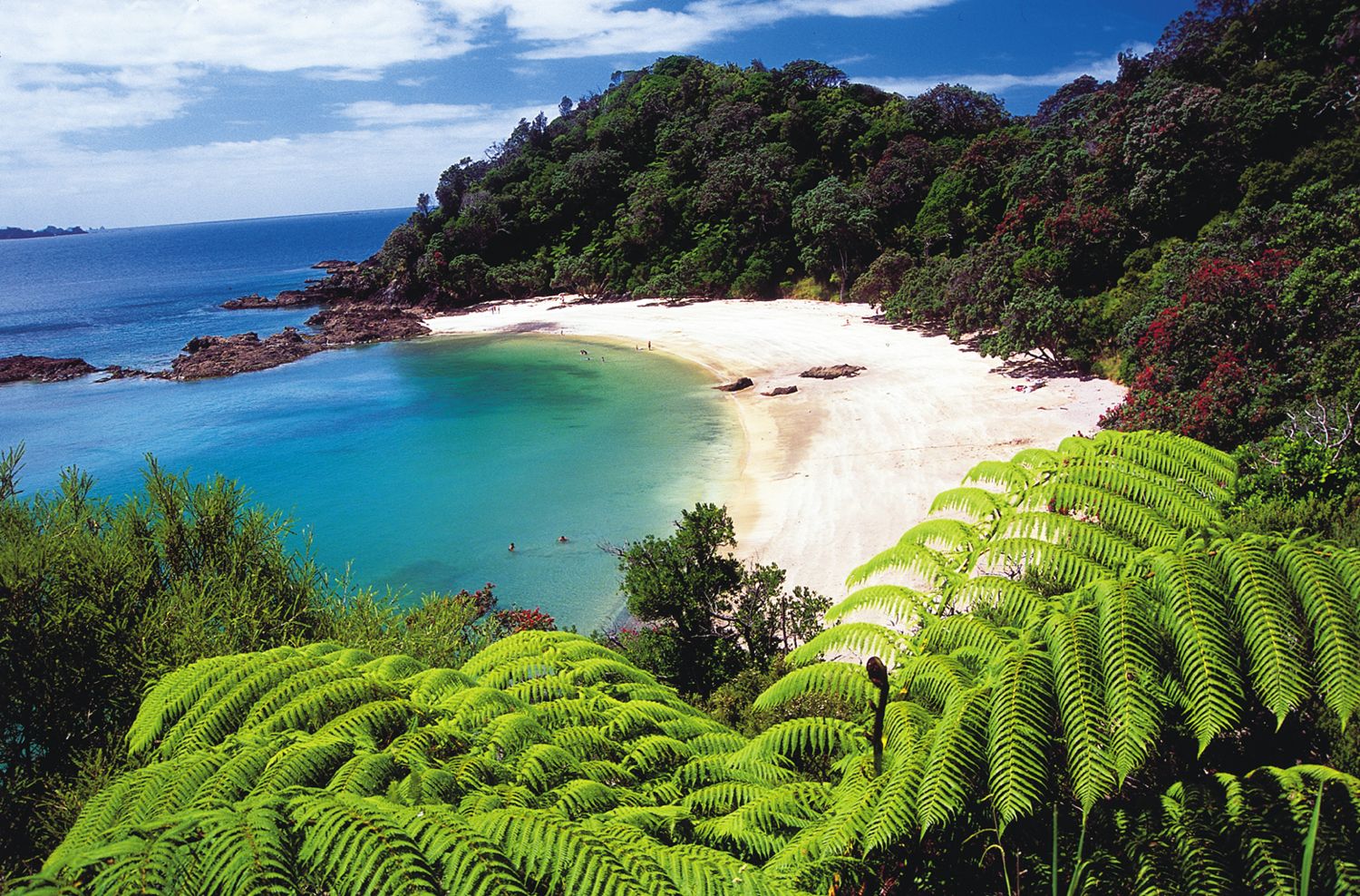 Northland » Planit NZ Travel