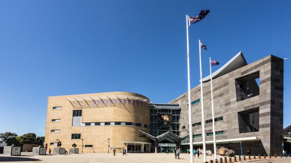 Te Papa Museum