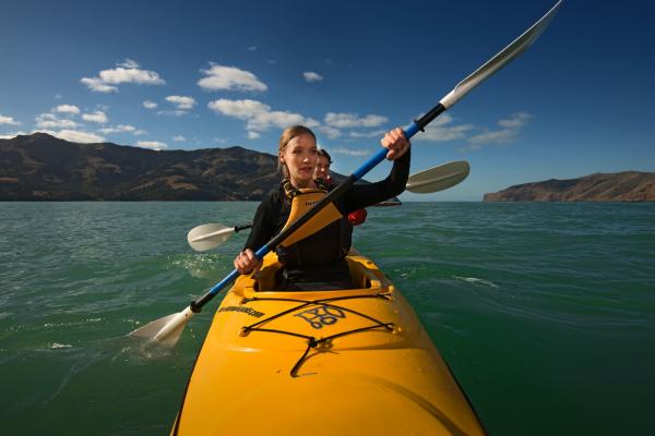 Kayaking in Akaroa