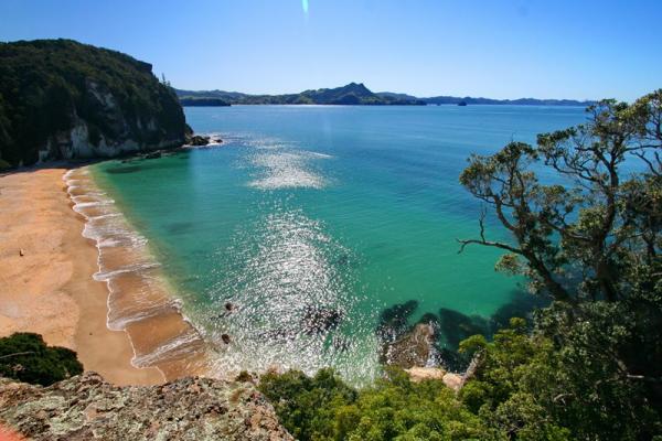 Coromandel Beach 5