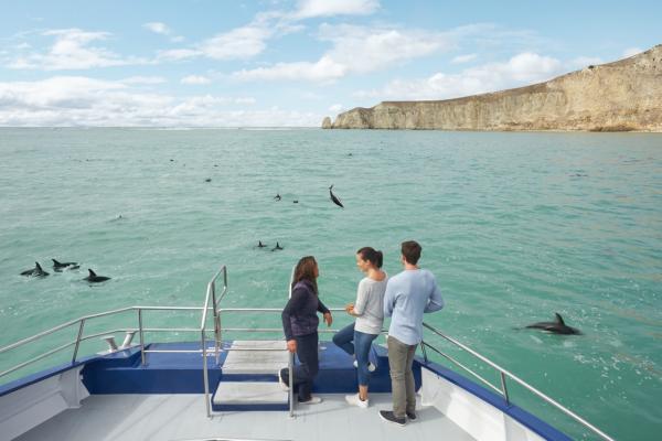 SO14 Kaikoura Canterbury Sara Orme