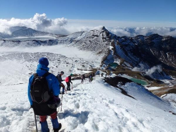 Choosing a NZ Tour 1