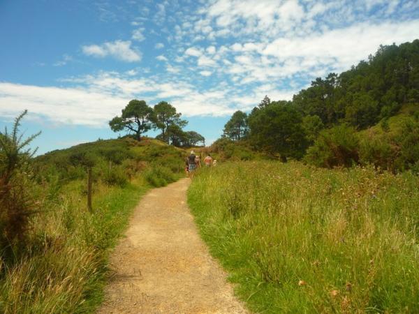 Coromandel Beach 1