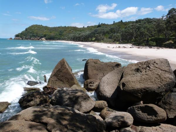 Coromandel Beach 2