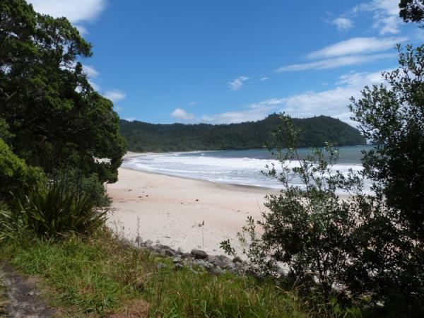 Coromandel Beach 3